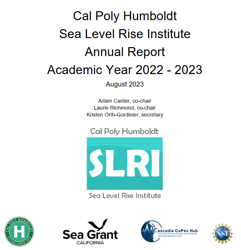 Screenshot of the SLRI annual report cover (link to PDF)