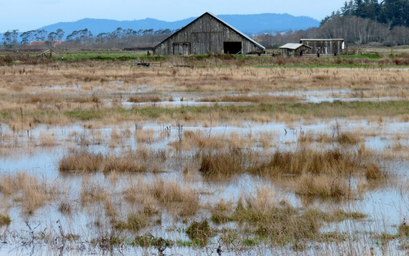 A photo of Freshwater Slough