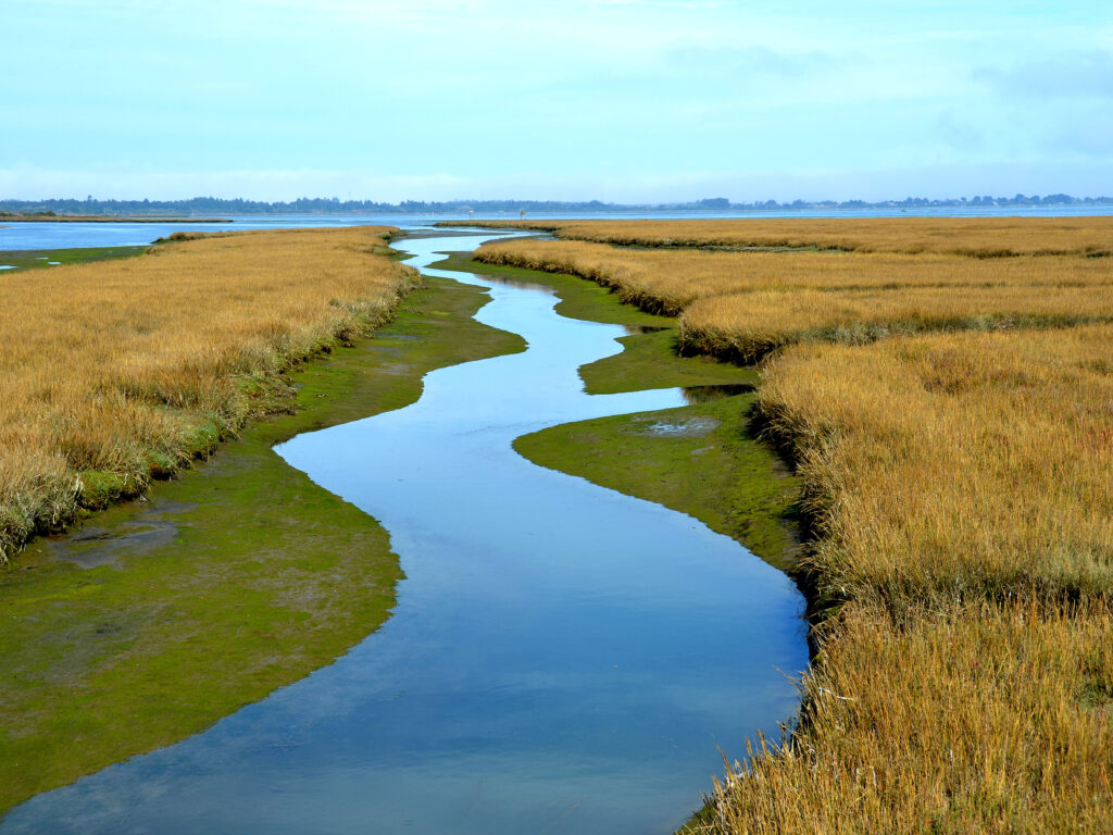 A photo of Humboldt Bay