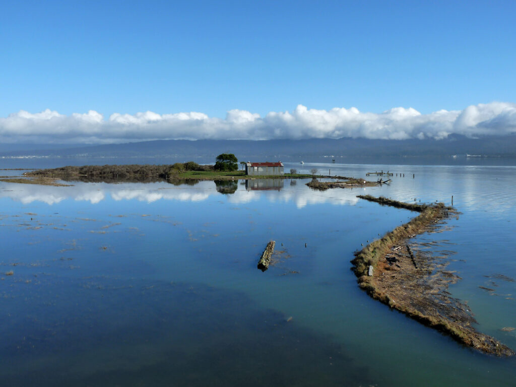 A photo of Indian Island, Humboldt Bay