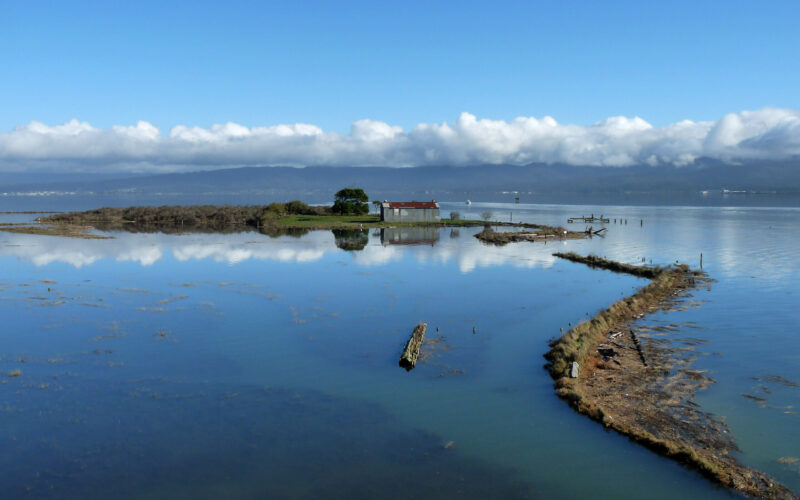 A photo of Indian Island, Humboldt Bay