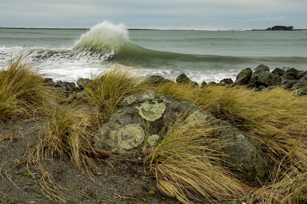 A photo of a cross wave