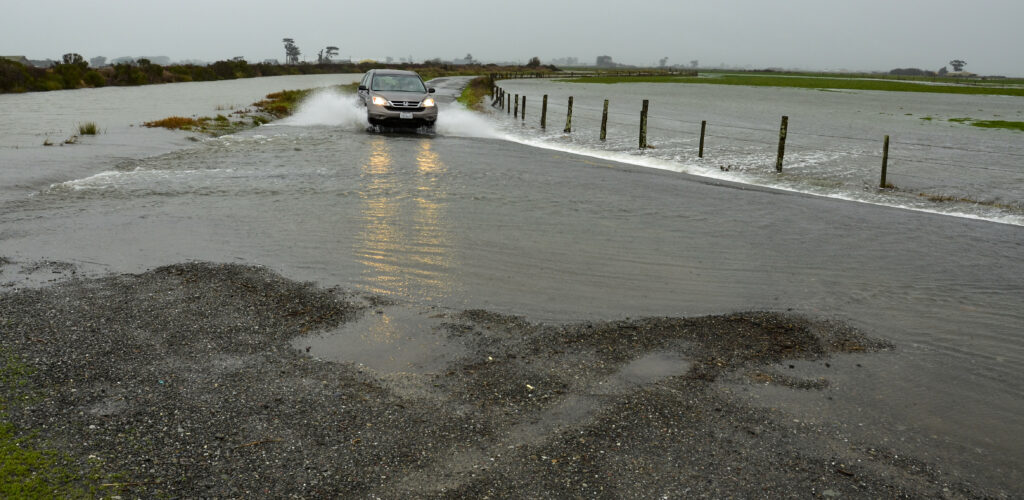 A photo from a King Tide