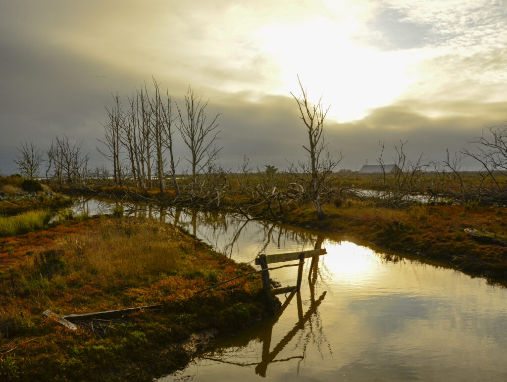 A photo of Daniel Slough
