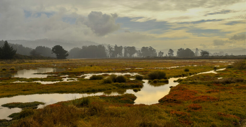 A photo of White Slough in the Fall