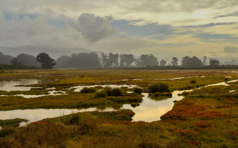 A photo of White Slough in the Fall