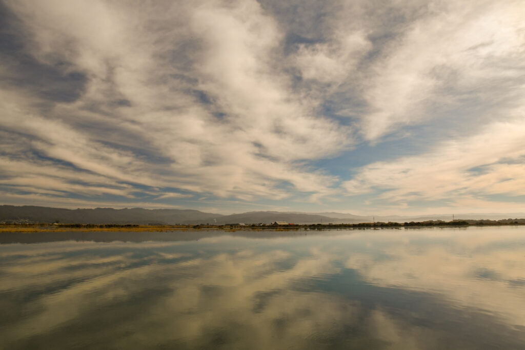 A photo of a King Tide
