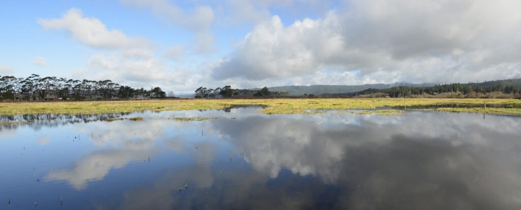 A photo of Fay Slough in a King Tide
