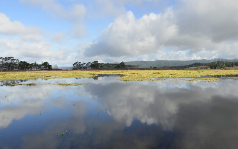 A photo of Fay Slough in a King Tide