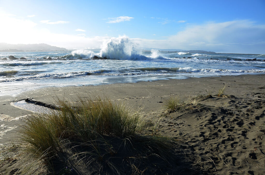 A photo of Humboldt Bay