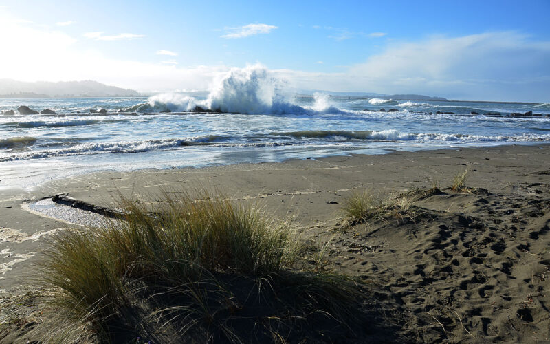 A photo of Humboldt Bay