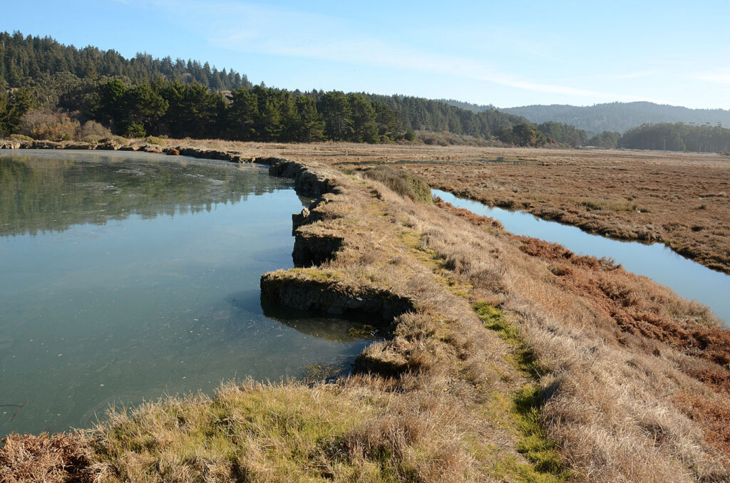 A photo of Humboldt Bay