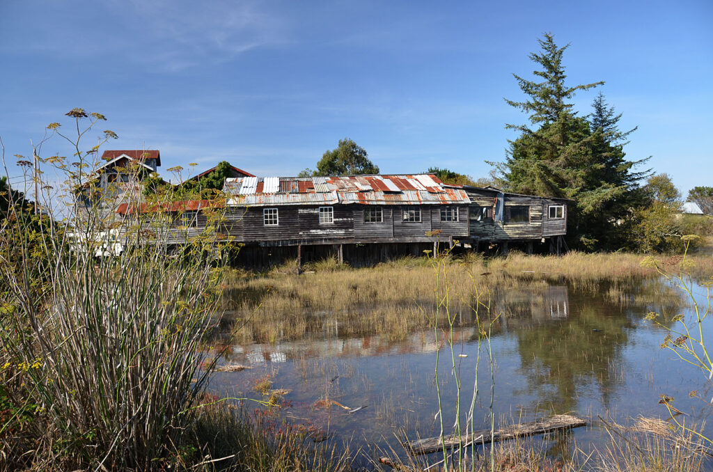 A photo of a building by Humboldt Bay