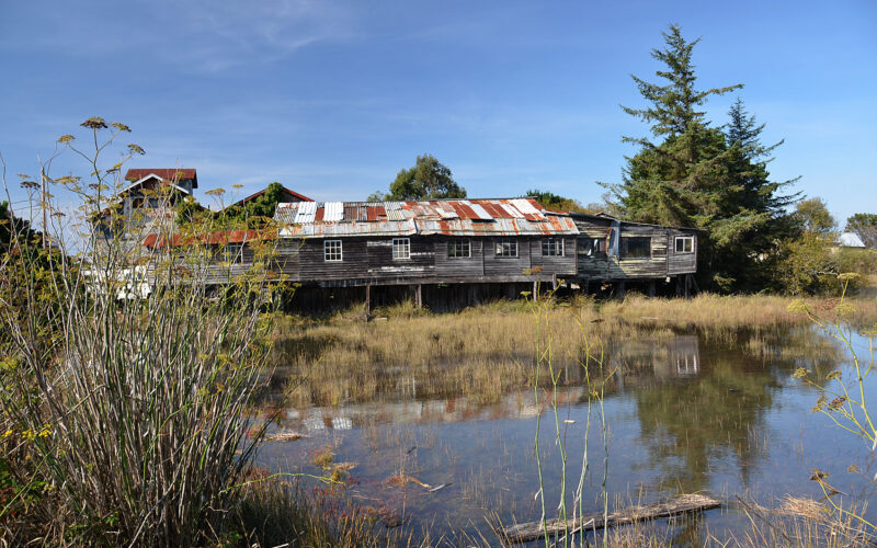 A photo of a building by Humboldt Bay