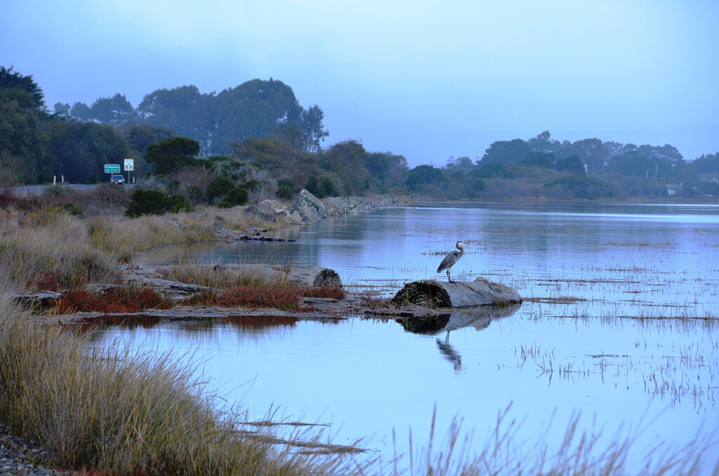 A photo of Humboldt Bay