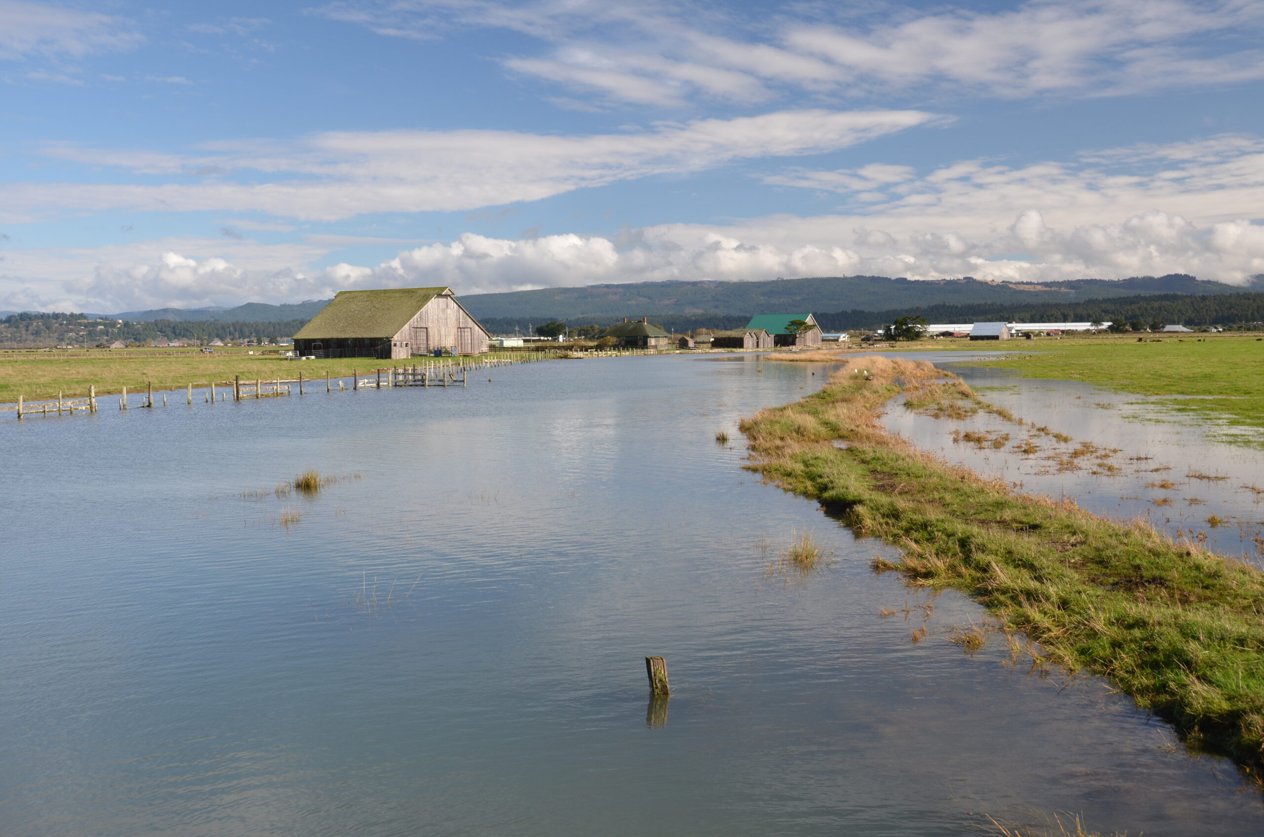 A photo of Humboldt Bay