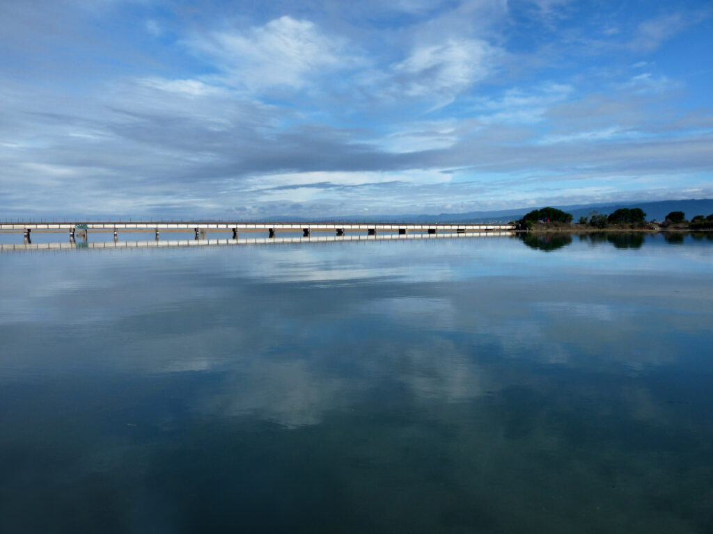 A photo of Humboldt Bay