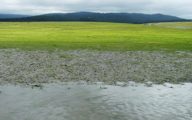 A photo of Gannon Slough mudflats
