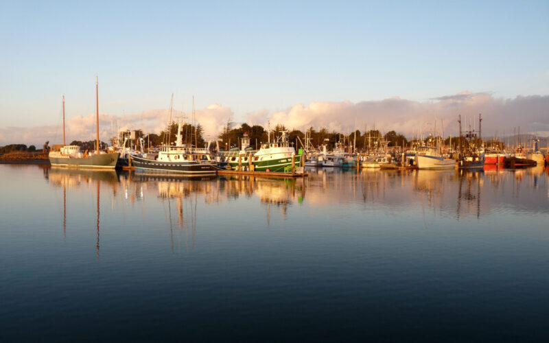 A photo of boats on Humboldt Bay
