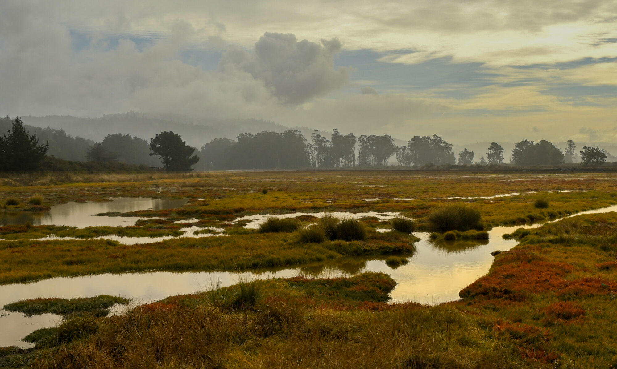 A photo of White Slough in the Fall